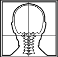 Chiropractor Irvine CA orthogonal technique 